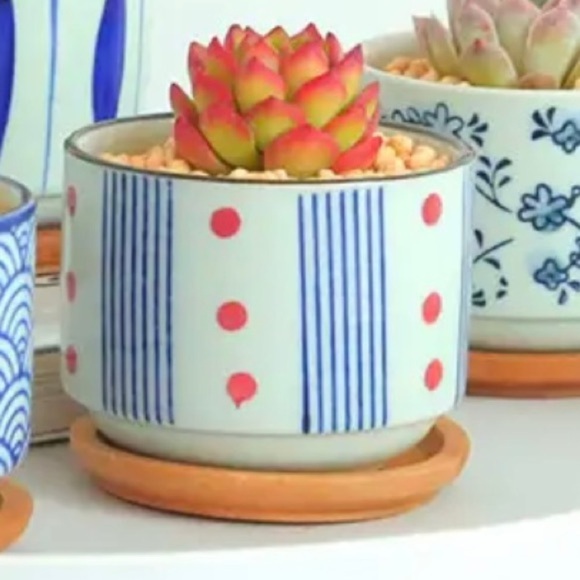 Glazed Ceramic Succulent Planter Pot - Picture 8 of 10